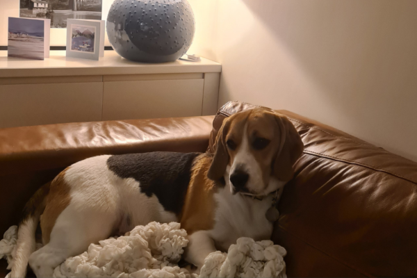 Well, January set 2026 off to a busy start