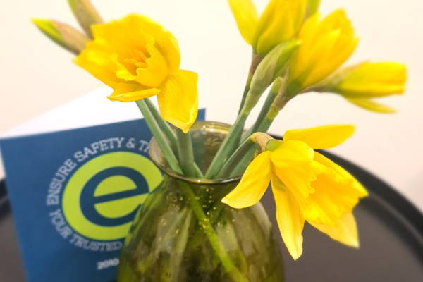 We have our first vase of daffodils in the Ensure offices…